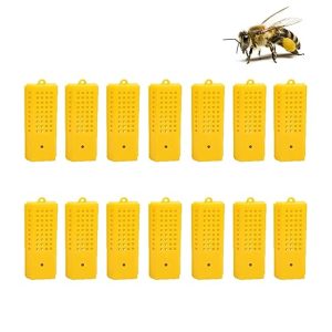 Cage Reine Cages d'Élevage Reine