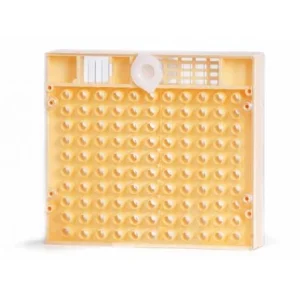 Kit D'élevage D'apiculteur Pour Reine